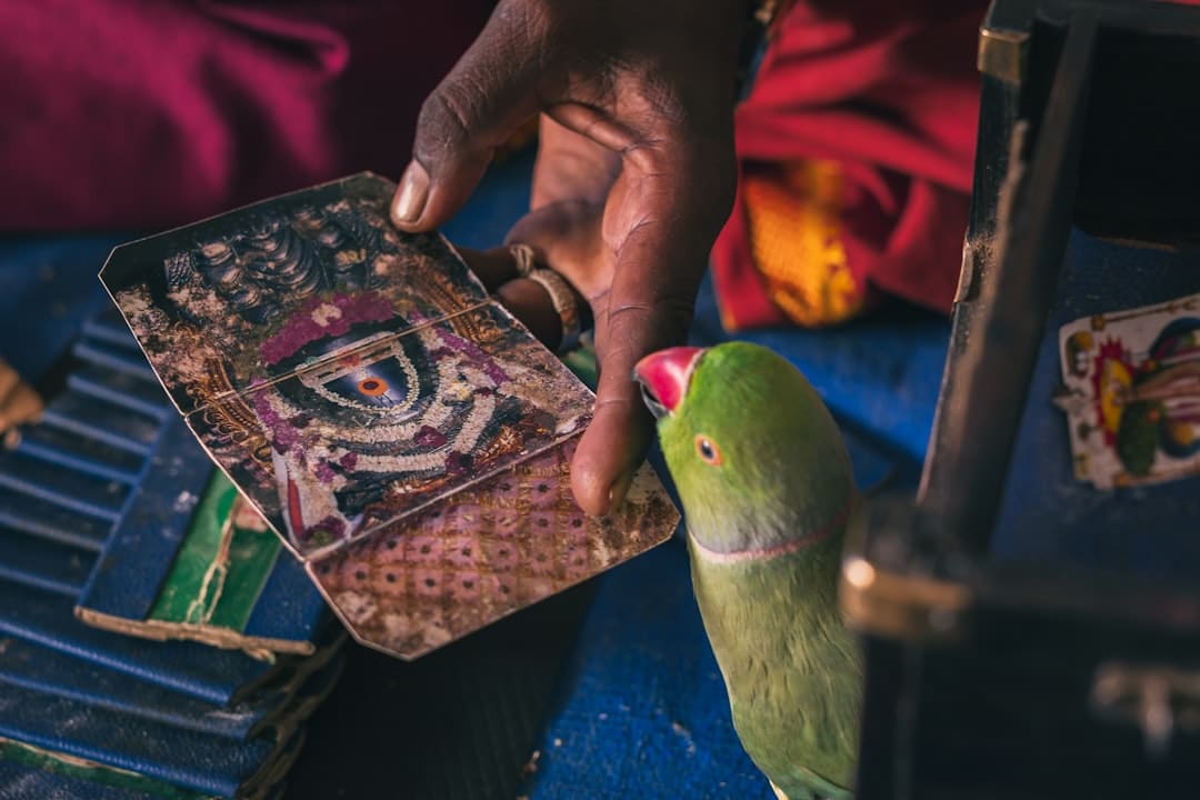 découvrez le monde fascinant de la fortune, où la richesse, la prospérité et les opportunités s'entrelacent. explorez des conseils financiers, des histoires inspirantes et des stratégies pour bâtir votre propre chemin vers le succès.